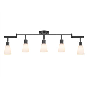 2148784 5704924006159 2112950003 cole plafondlamp glazen kappen metaal