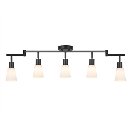 2148784 5704924006159 2112950003 cole plafondlamp glazen kappen metaal