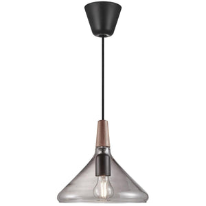 kleine moderne hanglamp glazen kap e27 fitting