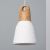 Hanglamp klein hout porselein led lamp e27 fitting