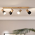 Plafondspot hout e14 fitting verstelbaar plafondlamp