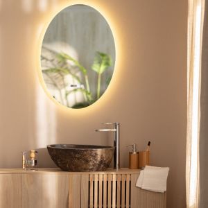 Badkamerspiegel ovaal led lamp verwarmd met spiegel