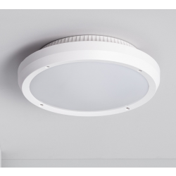 Plafondlamp wit 'Curs' buitenlamp 2x E27 fitting 300mm
